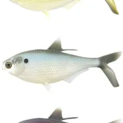 Framsida -Tillbehör Försäljning 13 fishing coalitation baits bamf shad farger