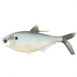 13 Fishing Coalition Baits BAMF…